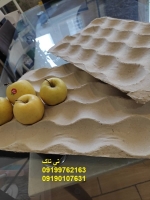 شانه مقوایی میوه صادراتی ، شانه سیب 09199762163